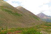 Долина  ручья Оран-Муяканского